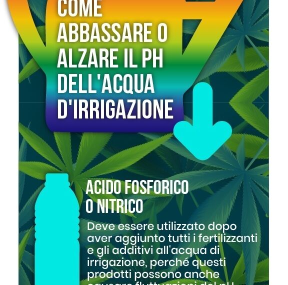 Come Abbassare il pH dell’Acqua per Irrigare