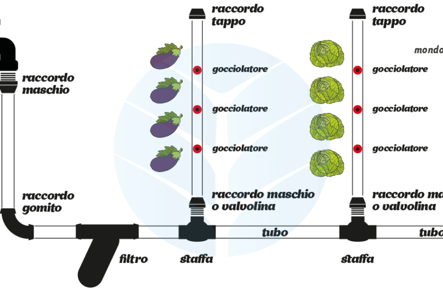 Come Fare un Impianto di Irrigazione a Goccia