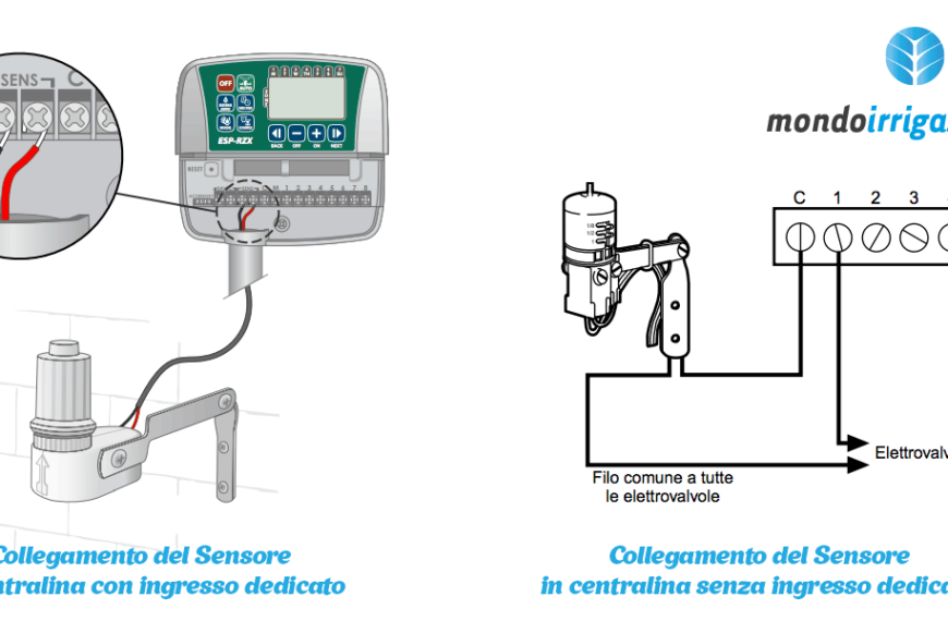 Come Funziona un Sensore di Pioggia per l’Irrigazione