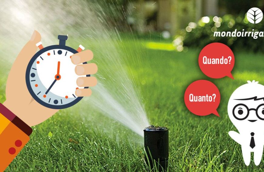 Quando Irrigare il Prato